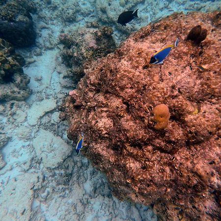 Moodhumaa Inn Guraidhoo  Dış mekan fotoğraf