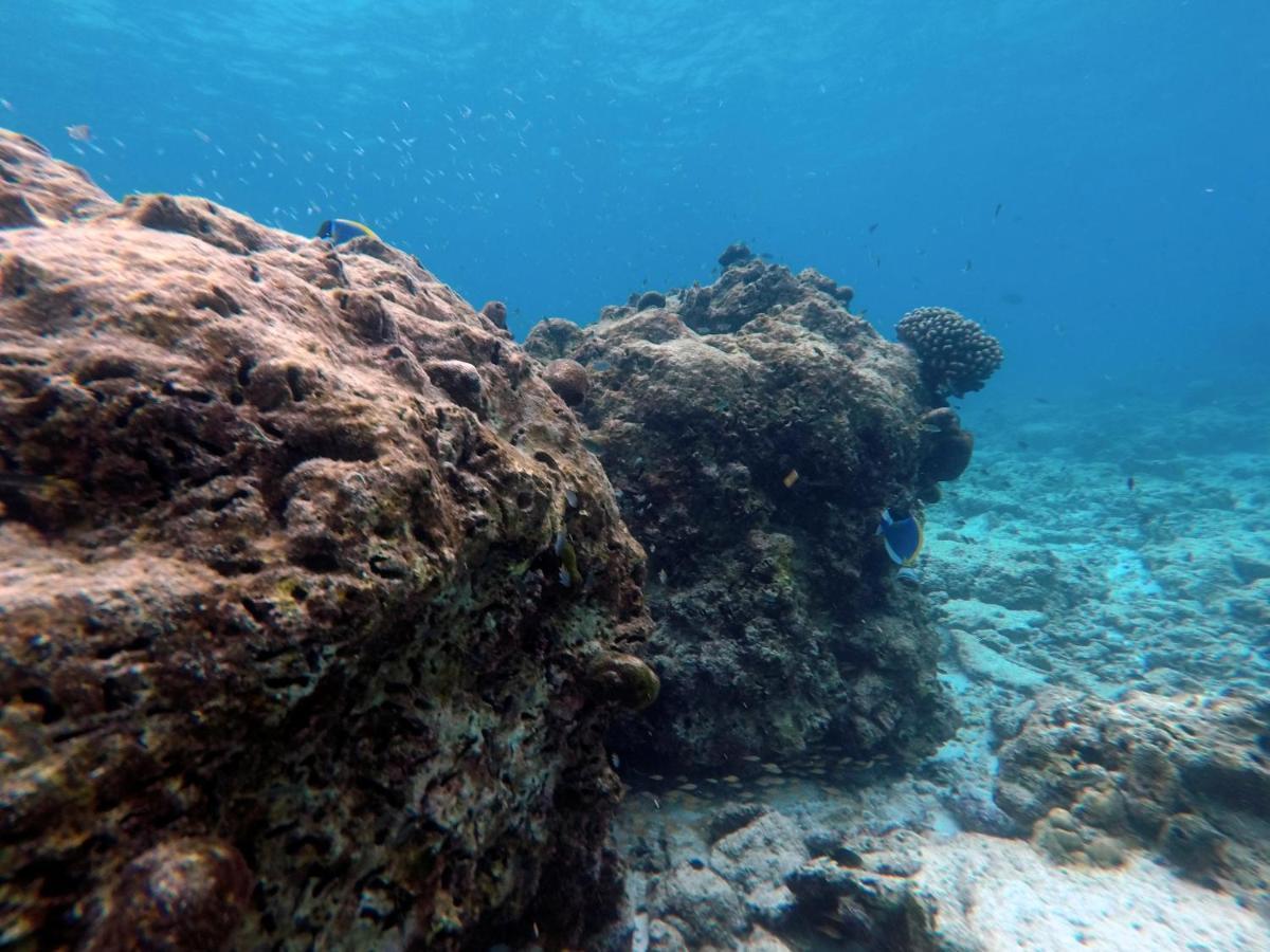 Moodhumaa Inn Guraidhoo  Dış mekan fotoğraf
