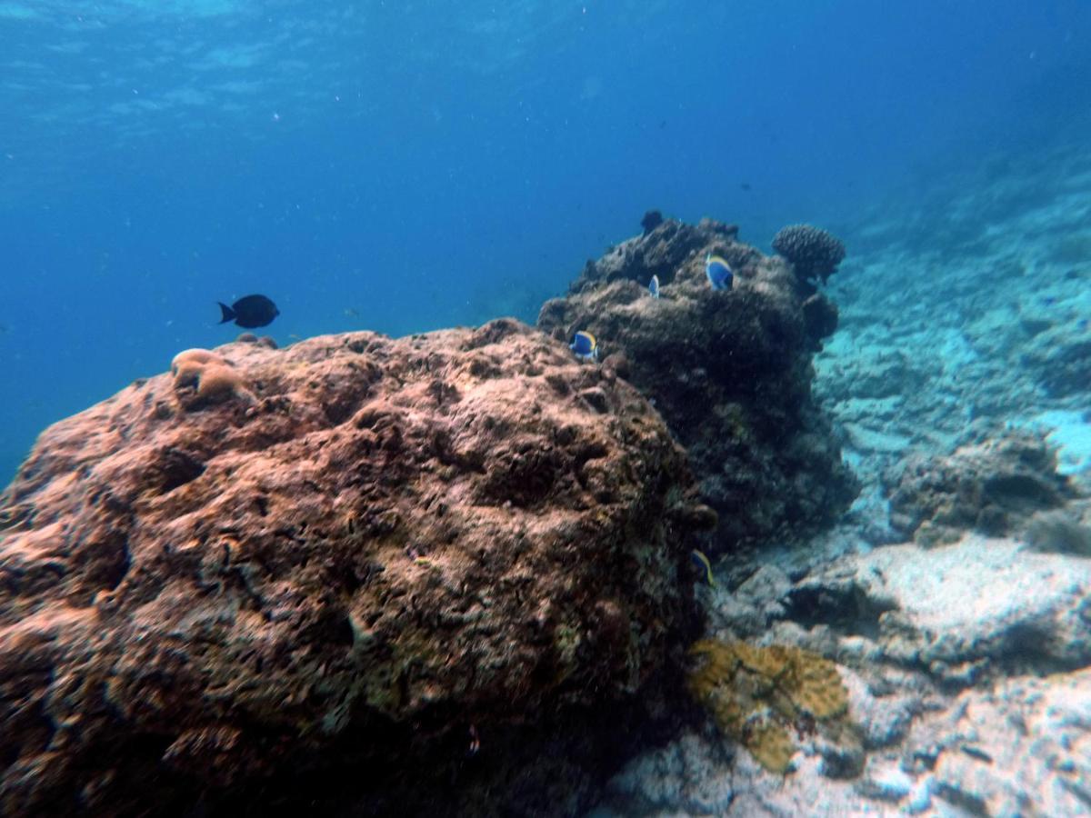 Moodhumaa Inn Guraidhoo  Dış mekan fotoğraf