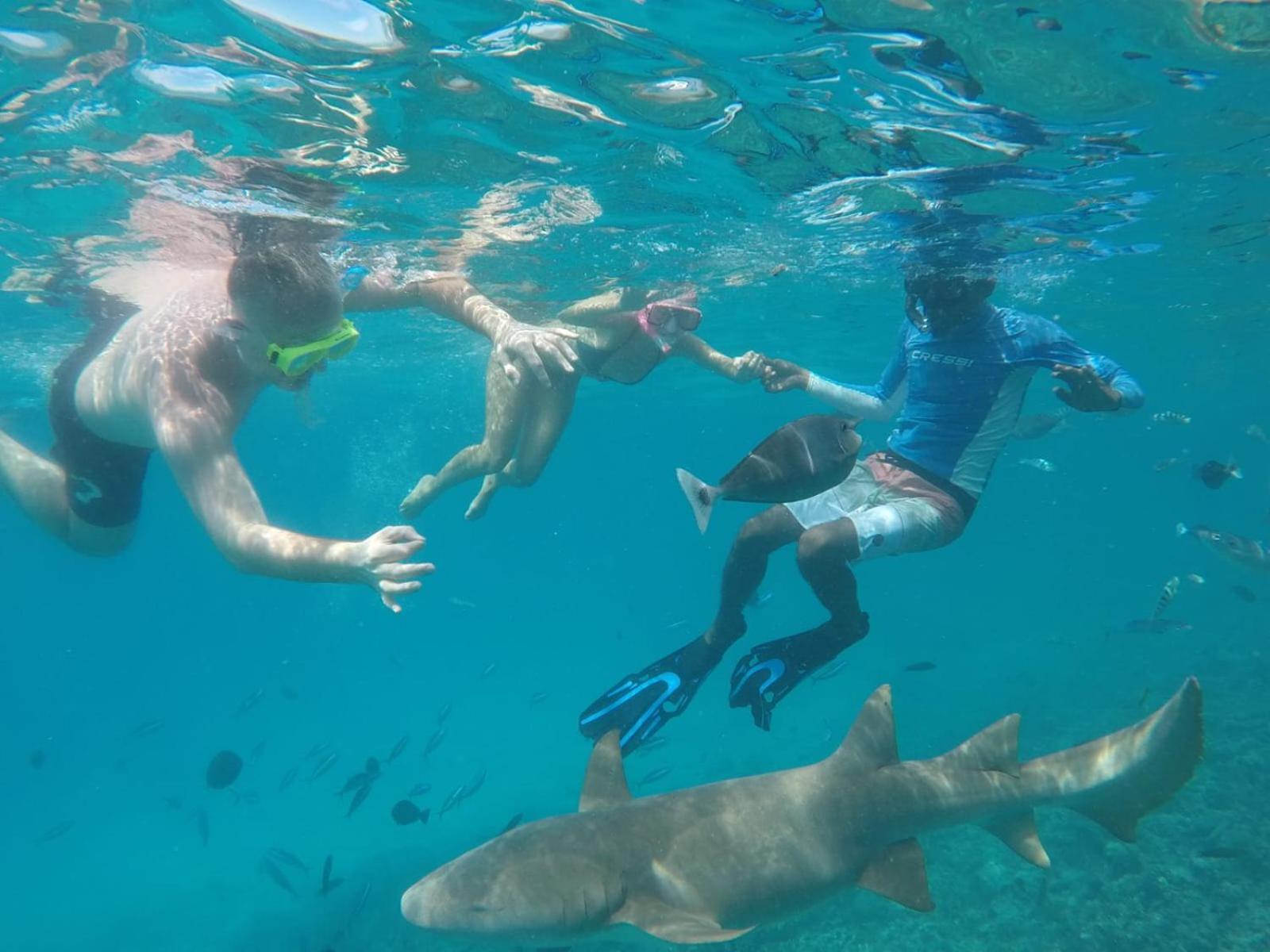 Moodhumaa Inn Guraidhoo  Dış mekan fotoğraf