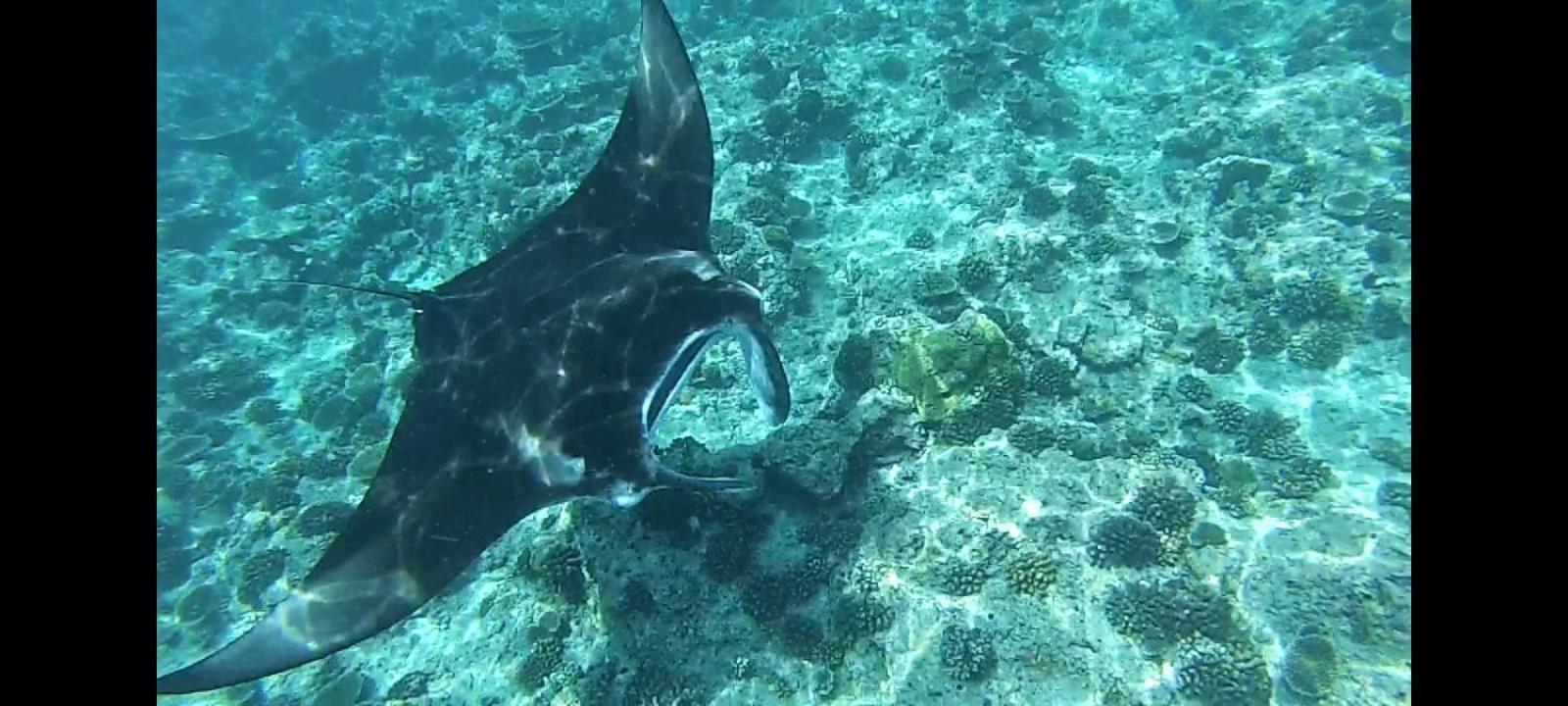Moodhumaa Inn Guraidhoo  Dış mekan fotoğraf