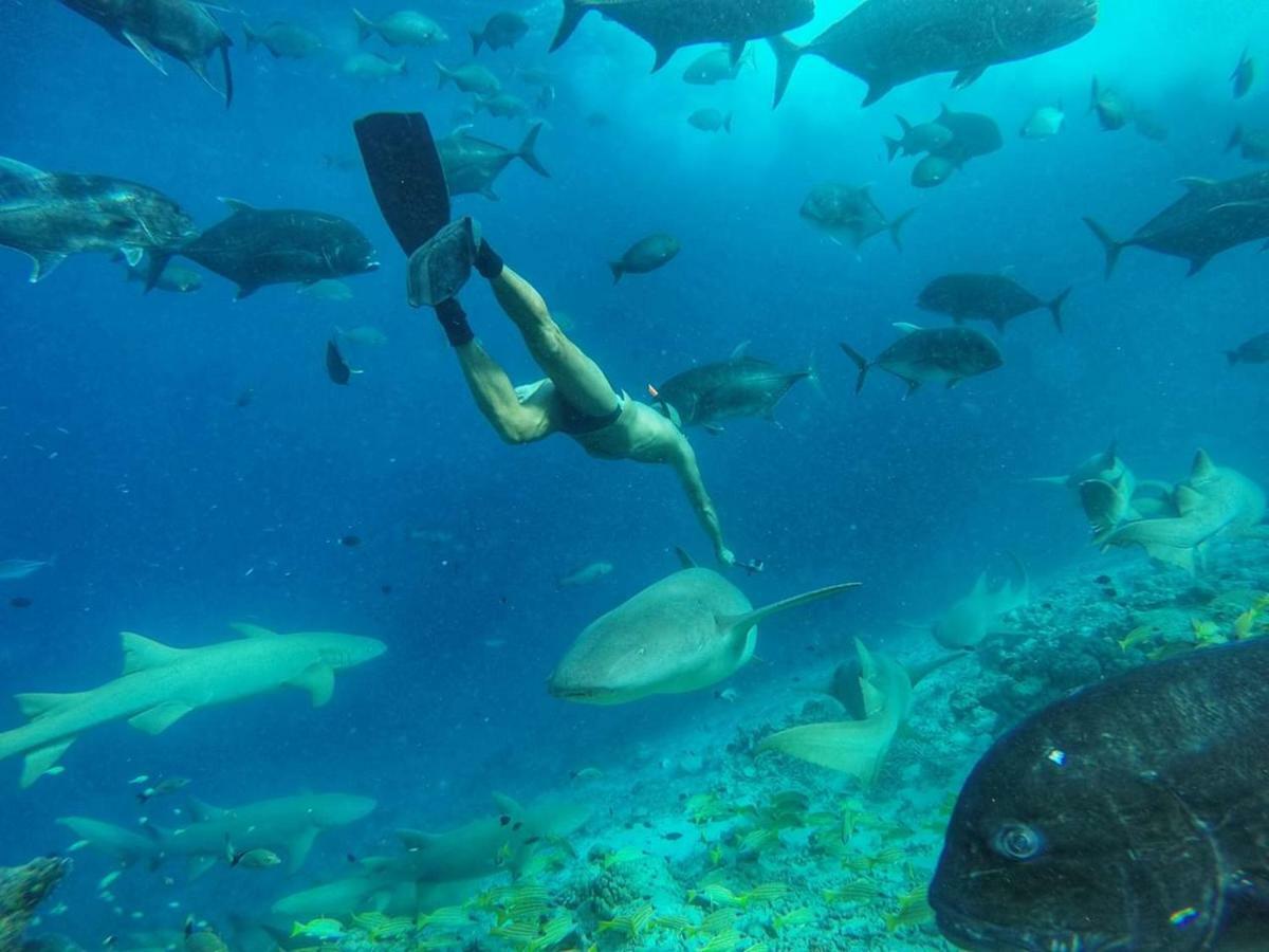 Moodhumaa Inn Guraidhoo  Dış mekan fotoğraf